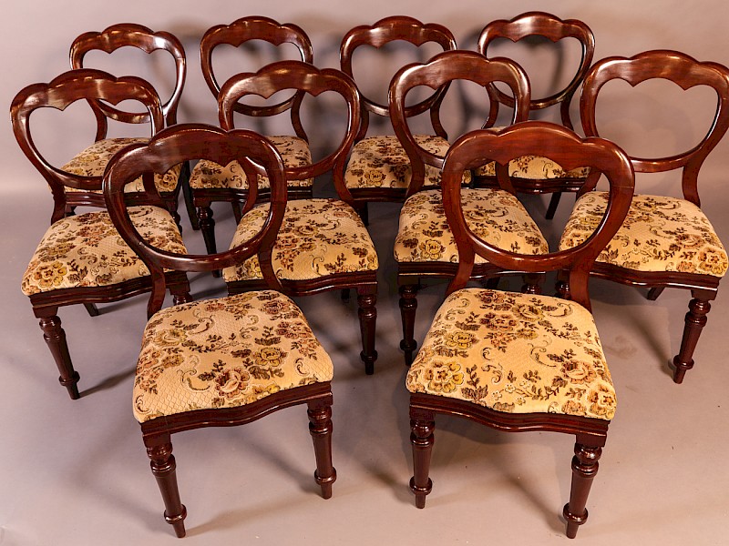 A Good Set of 10 Victorian Mahogany Balloon Back Dining Chairs