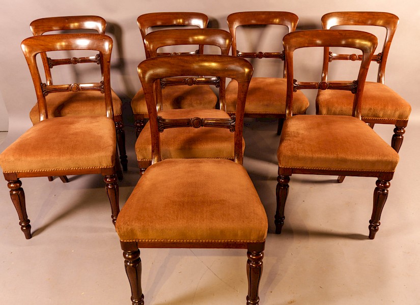 A Set of 8 William IV Dining Chairs  Mahogany