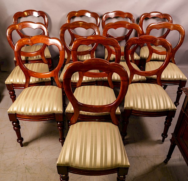 A Set of 12 Victorian Mahogany Balloon Back Dining Chairs